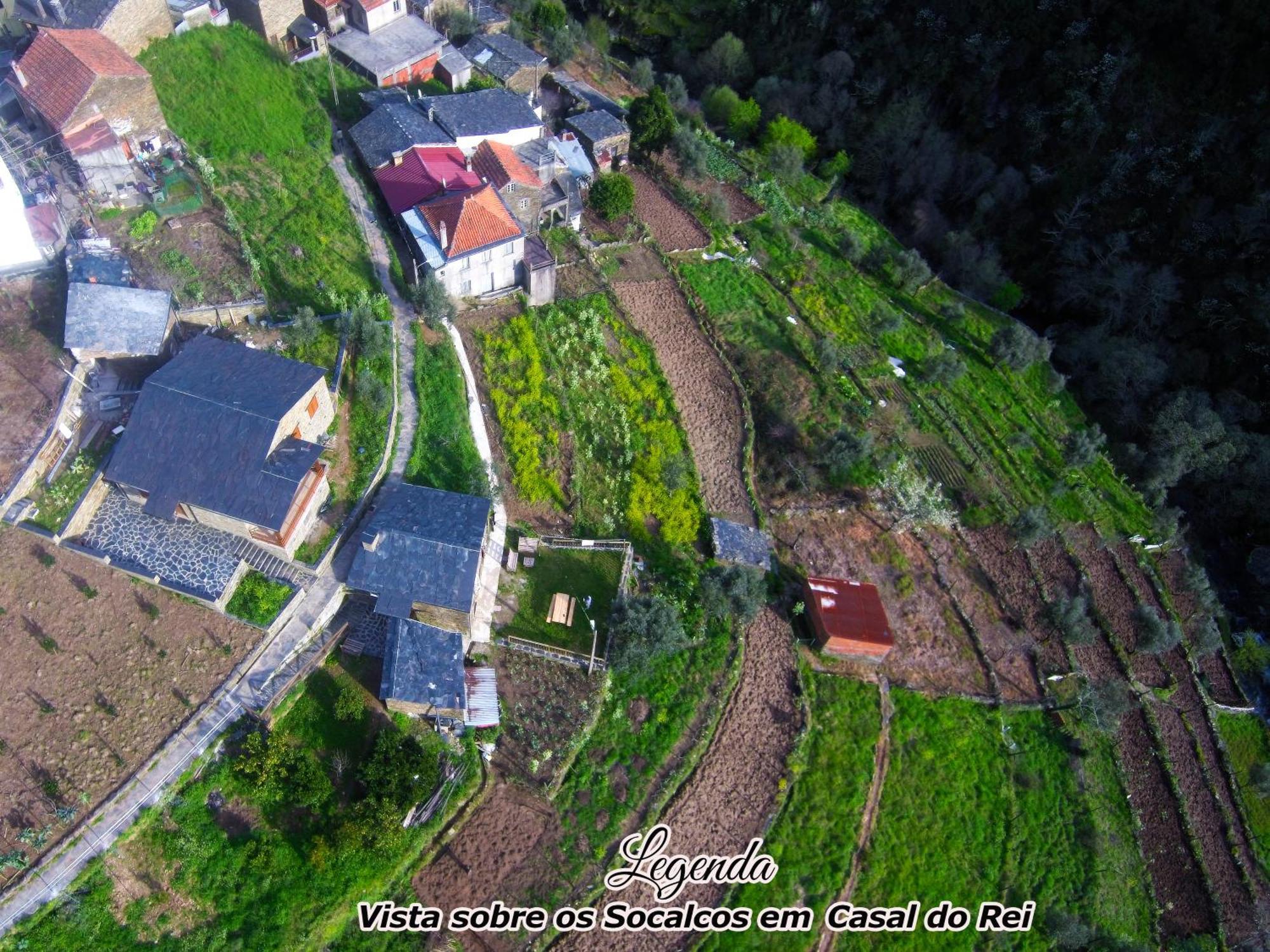 فيلا Casa Do Salgueirinho Casal do Rei  المظهر الخارجي الصورة