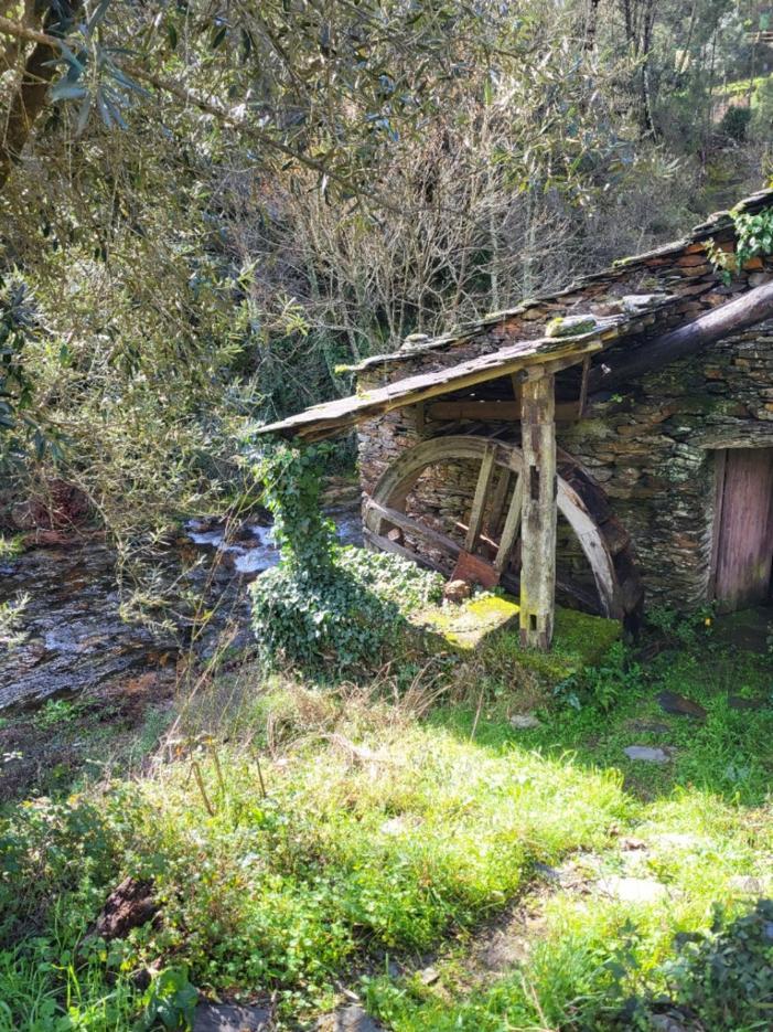 فيلا Casa Do Salgueirinho Casal do Rei  المظهر الخارجي الصورة
